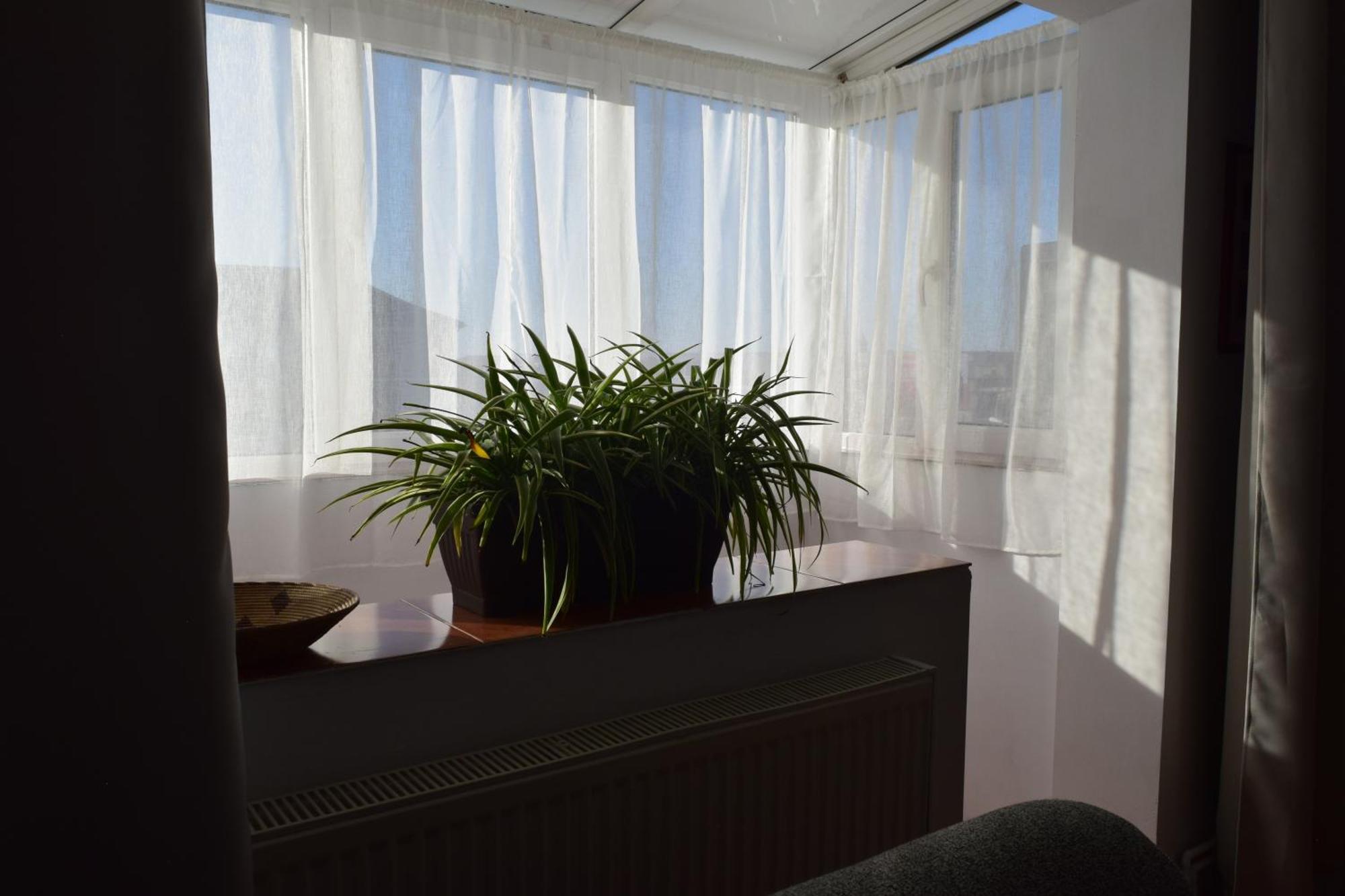 Apartament Simina Timisoara Exterior photo