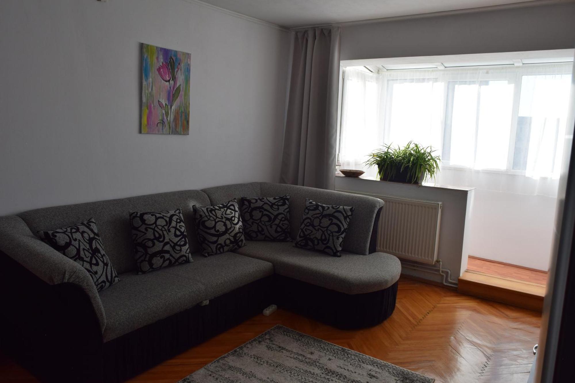 Apartament Simina Timisoara Exterior photo